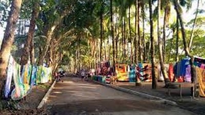 Dominical Surfs up Adventure