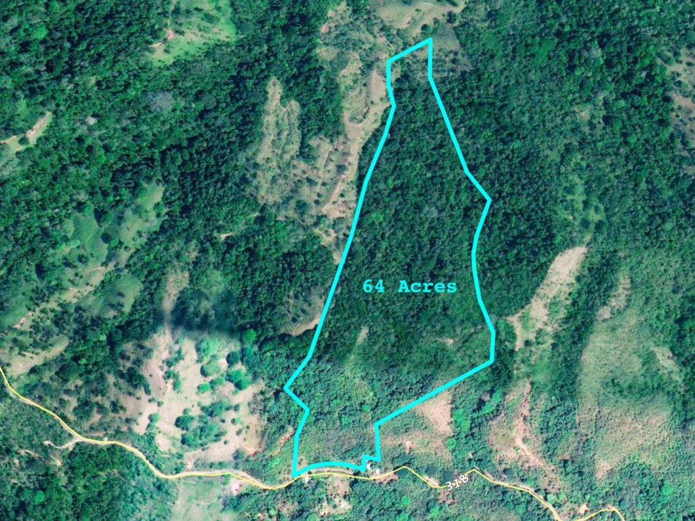 0 bed Lot/Land For Sale in Puntarenas,  - 1