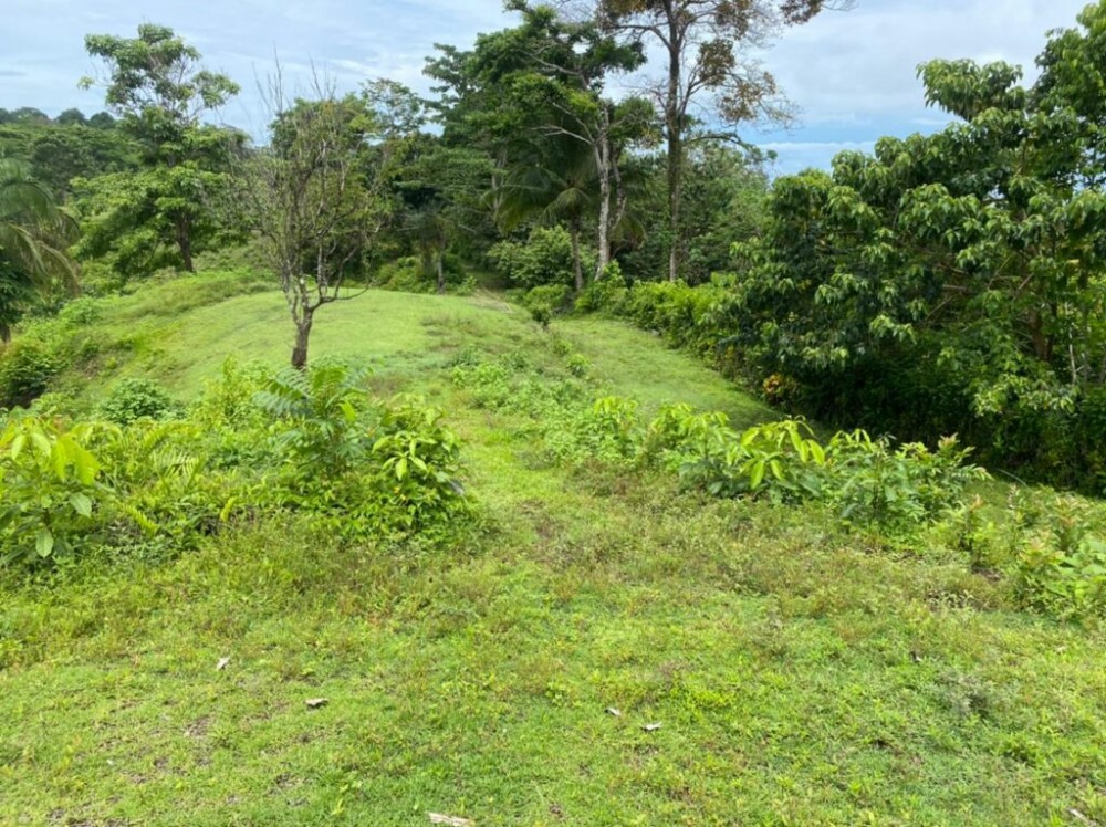 0 bed Lot/Land For Sale in Puntarenas, Puntarenas - 1